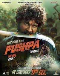 Watch Pushpa: The Rise - Part 1 (2021) Online Full Movie Free