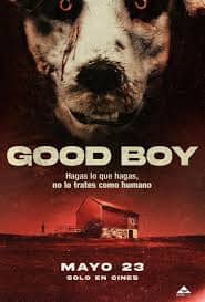 Watch Good Boy (2022) Online Full Movie Free